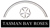 Tasman Bay Roses